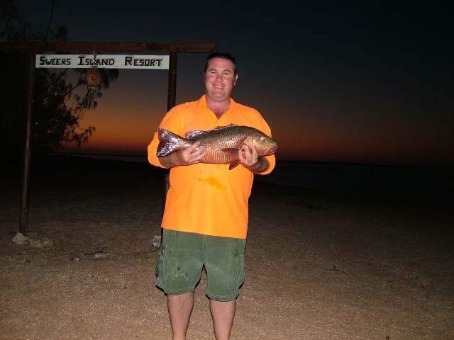 Sweers Island Mangrove Jack